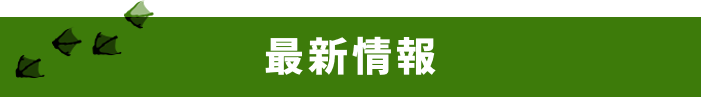 最新情報