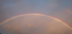 Over The Rainbow 虹の彼方に スタッフブログ 浜松市で創業60年の鴨川塗装 累計施工件数12 000件突破