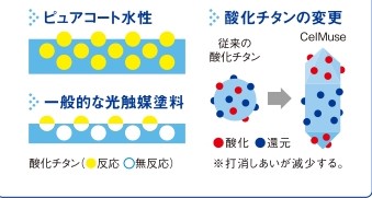 自然に優しい　『ピュアコート』をご紹介！